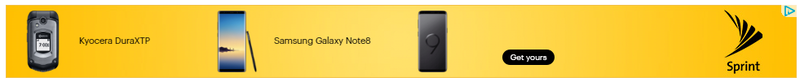 Illustration for article titled Sprint is trying to sell me a flip phone